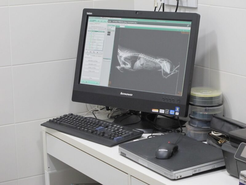 Centro veterinario Supervet radiografía
